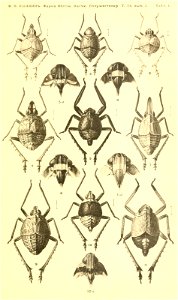 n122_w1150