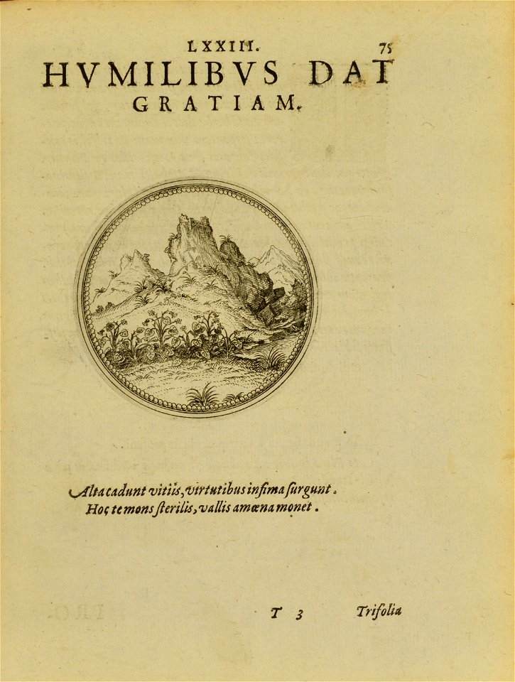n166_w1150