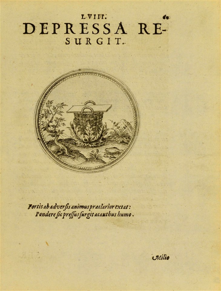 n136_w1150