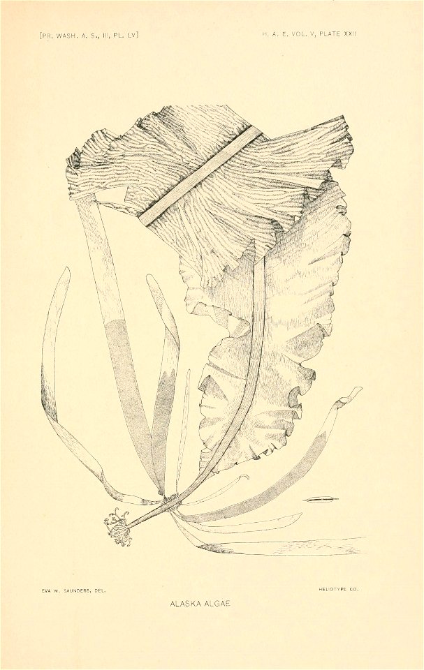 n292_w1150