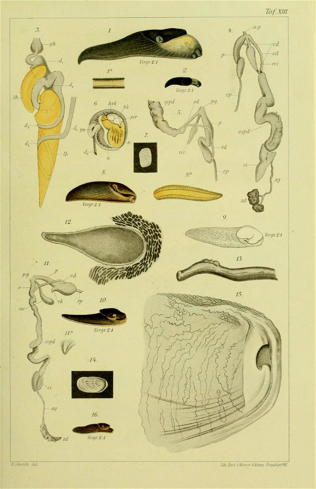 n378_w1150