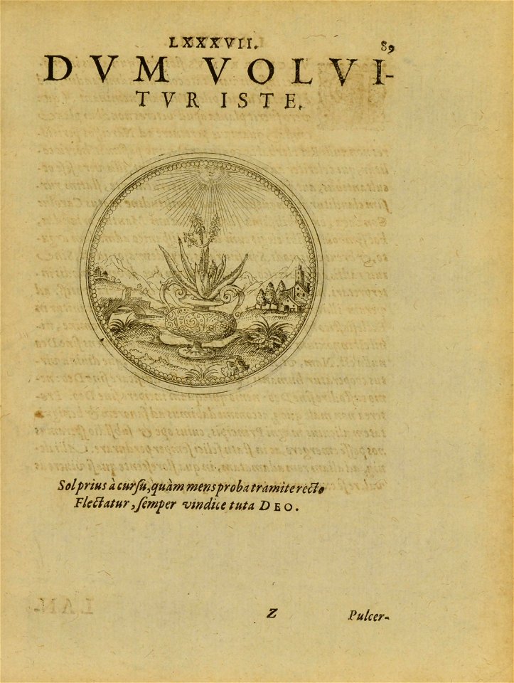 n194_w1150