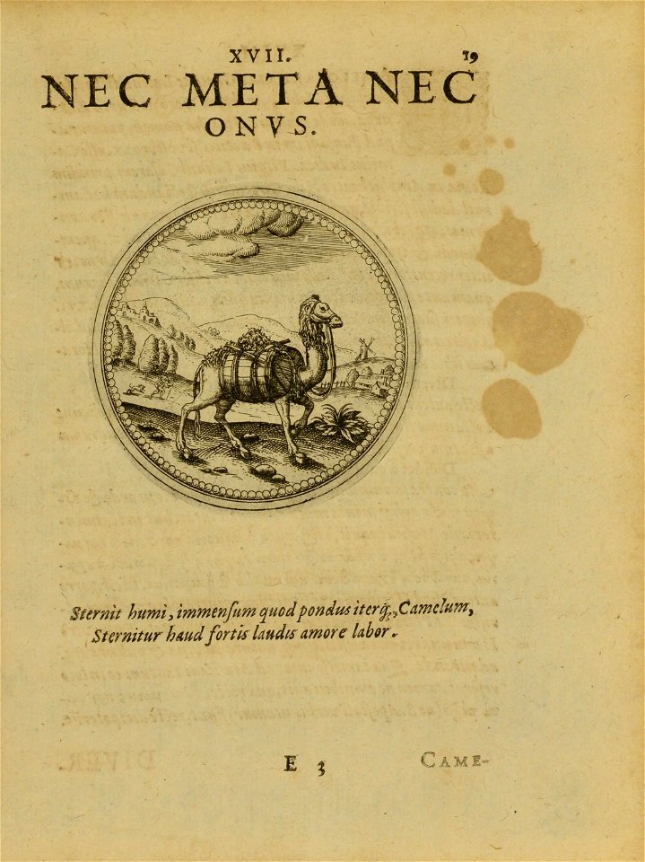 n258_w1150