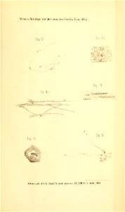 n1086_w1150