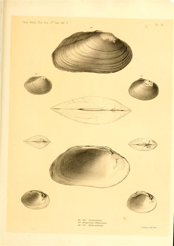 n506_w1150