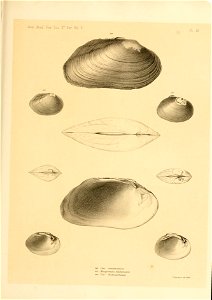 n506_w1150