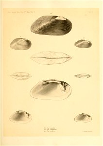 n476_w1150