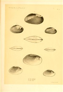 n162_w1150