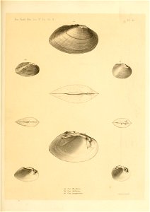 n504_w1150