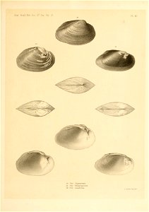 n318_w1150