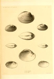 n158_w1150