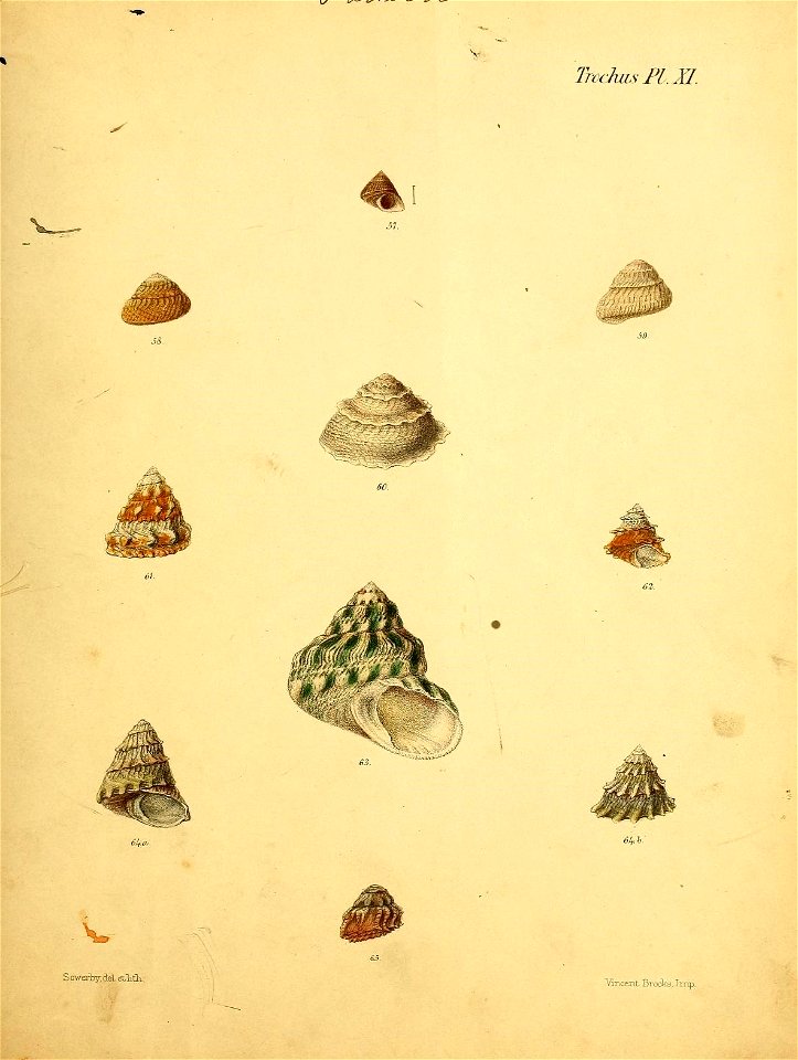 n542_w1150