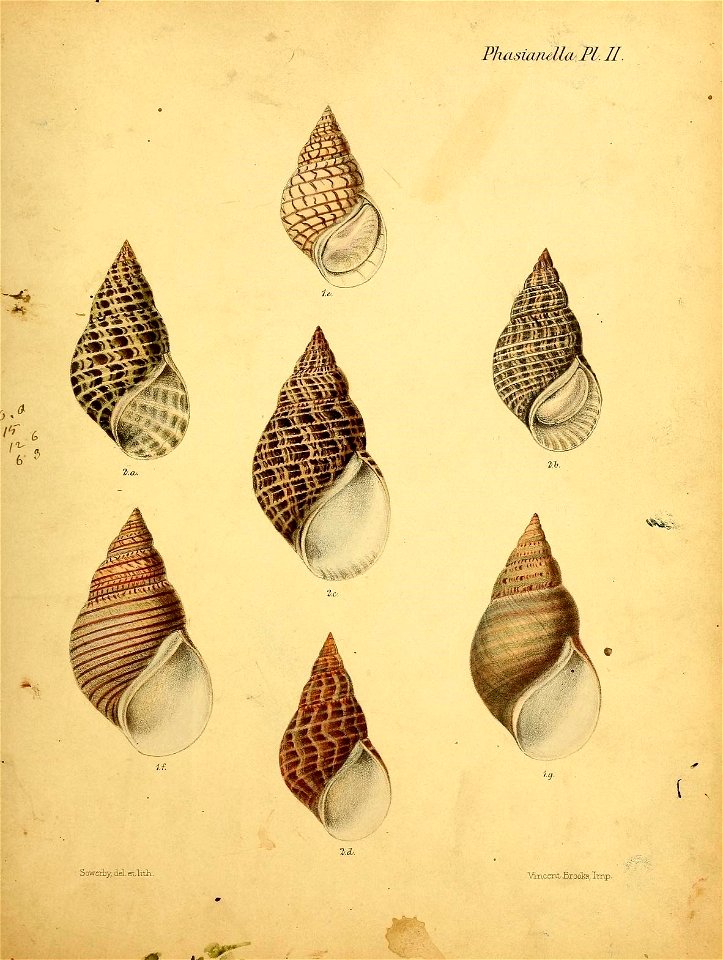 n478_w1150