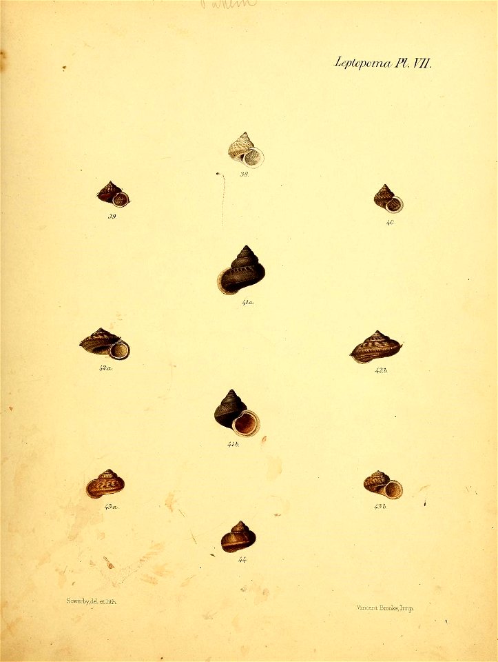 n408_w1150