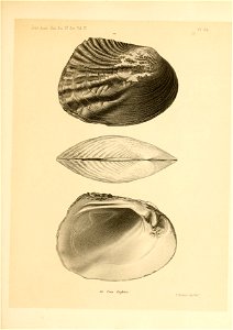 n398_w1150
