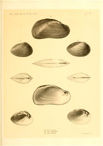 n498_w1150