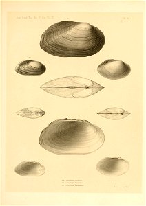 n396_w1150
