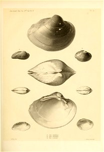 n154_w1150