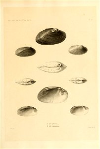n56_w1150