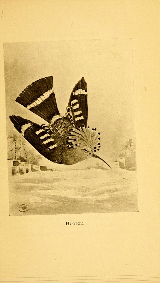 n66_w1150