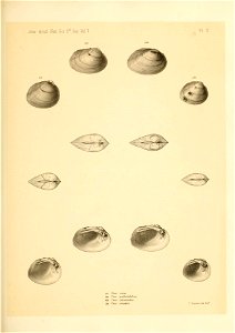 n496_w1150