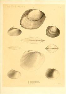 n312_w1150