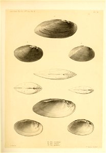 n152_w1150