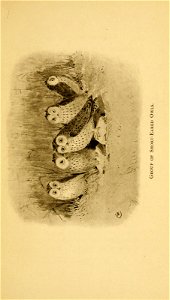 n58_w1150