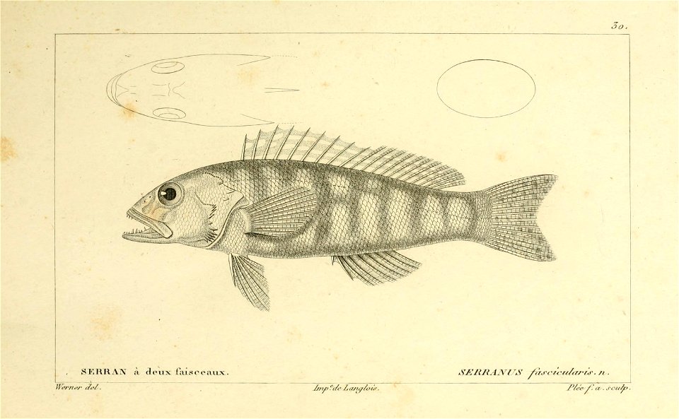 n46_w1150
