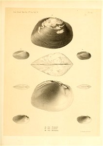 n392_w1150