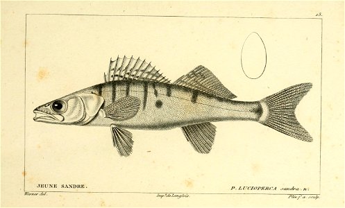 n16_w1150