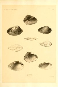 n52_w1150