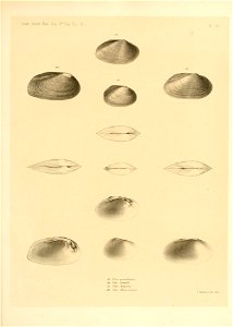 n308_w1150