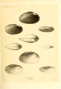 n148_w1150
