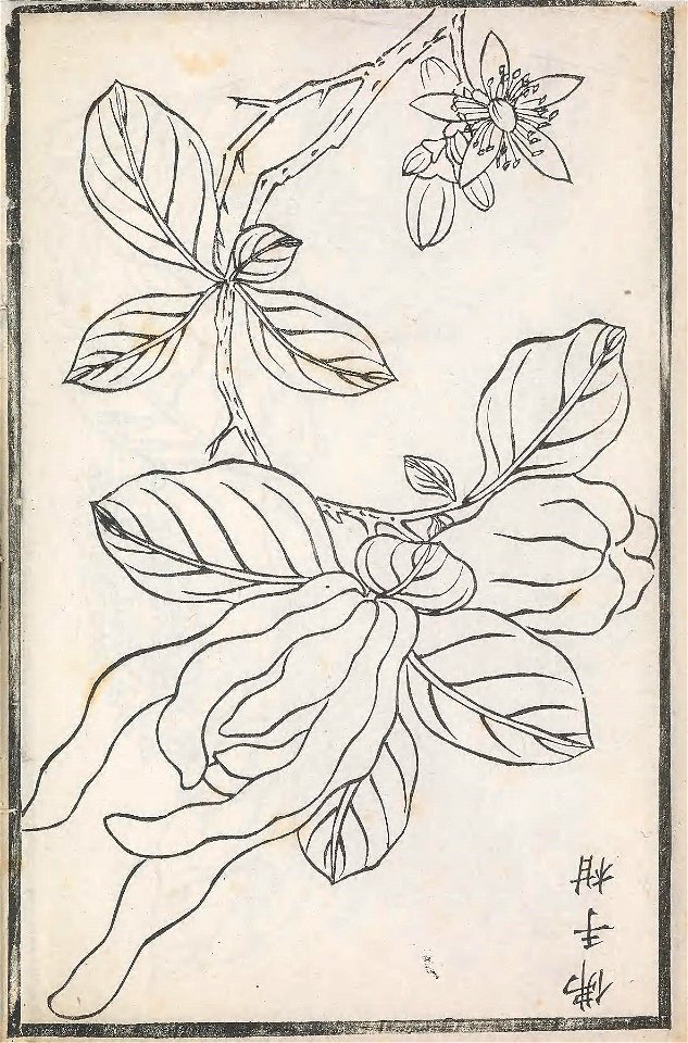 n62_w1150