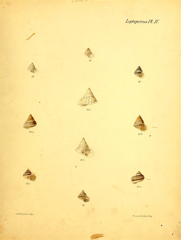 n396_w1150