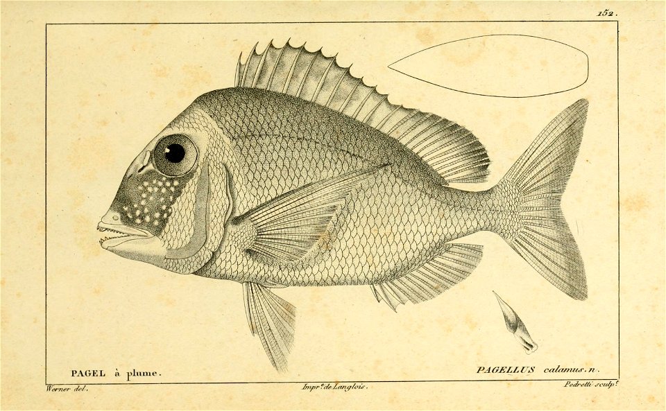 n284_w1150