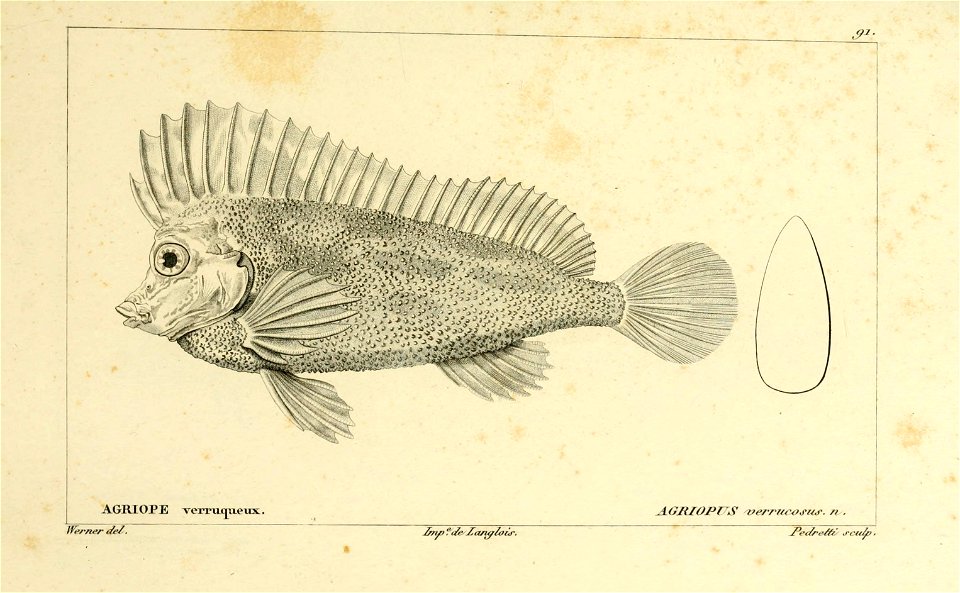 n162_w1150