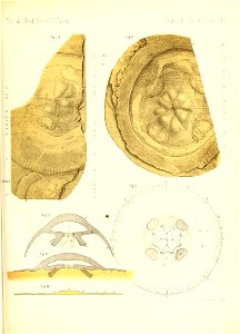 n672_w1150