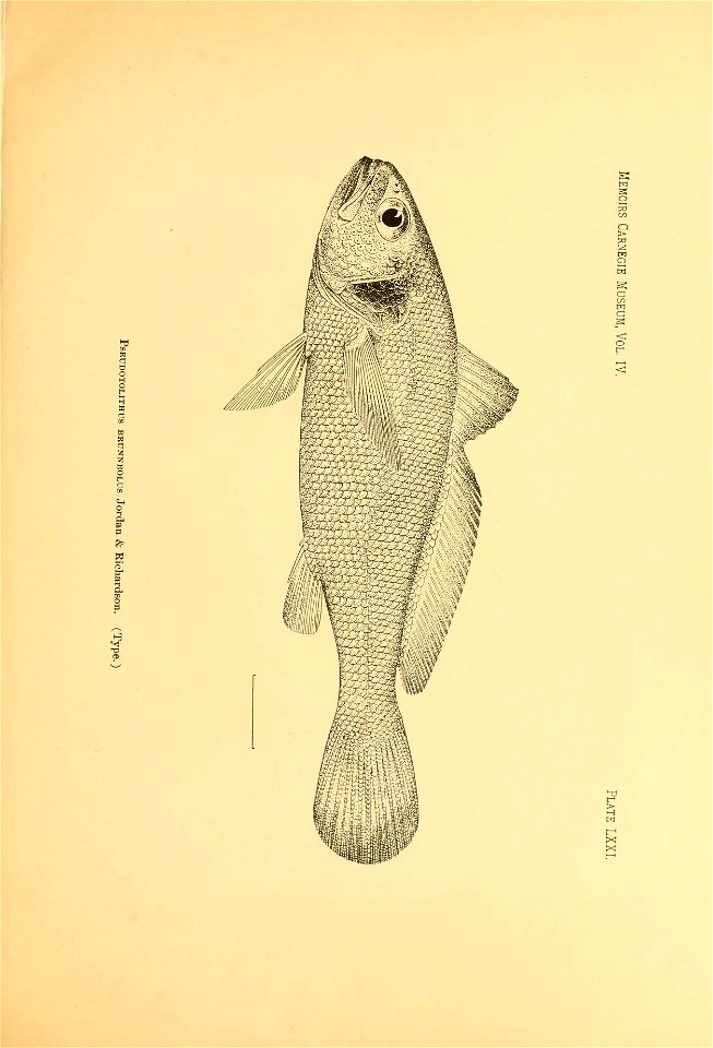 n72_w1150
