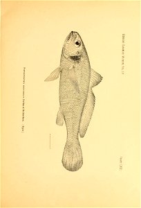 n72_w1150