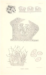 n182_w1150