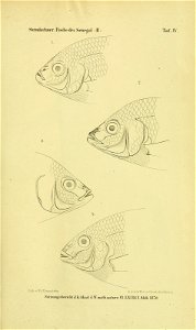 n1190_w1150