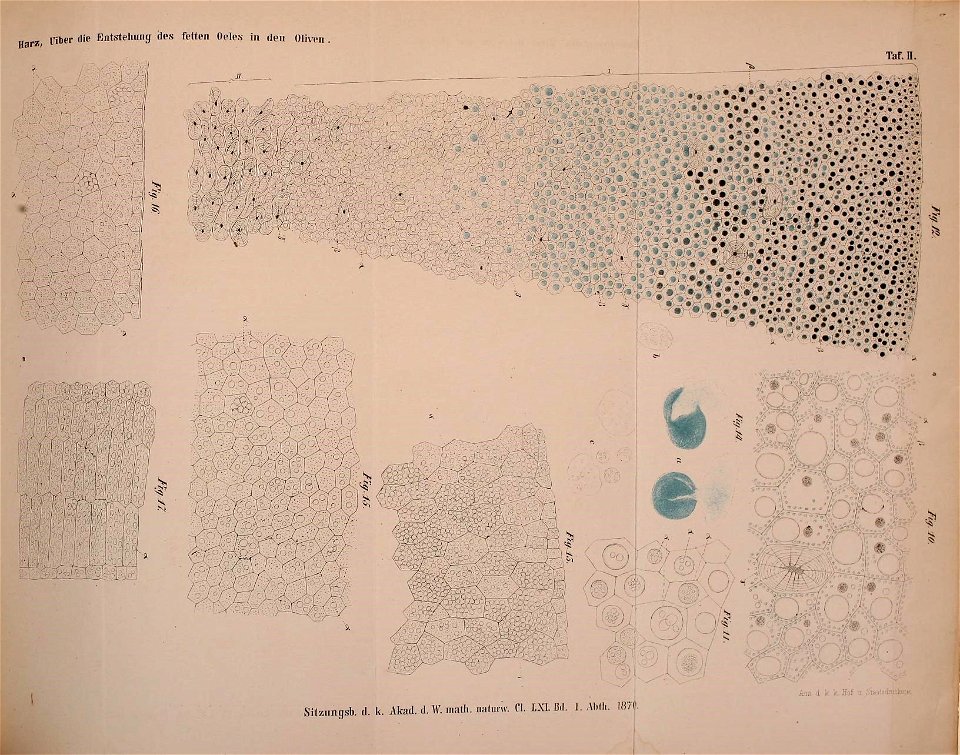 n1118_w1150