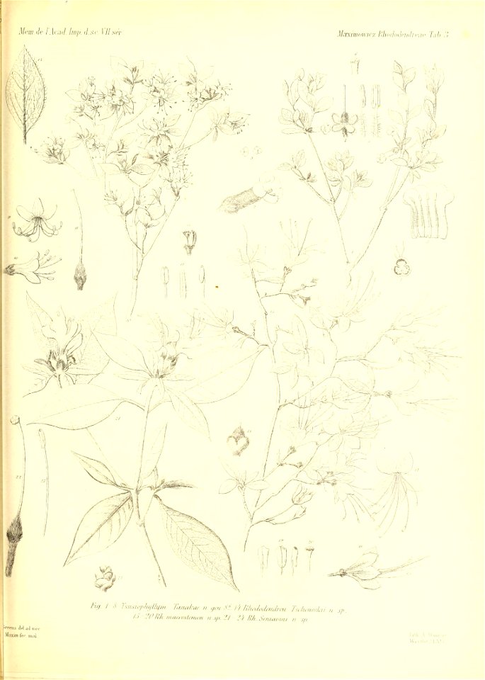 n504_w1150
