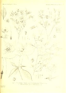n504_w1150