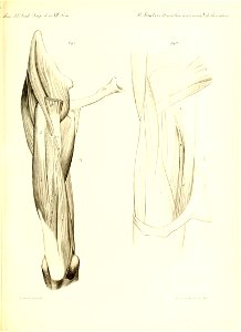 n30_w1150