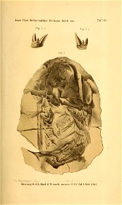 n718_w1150