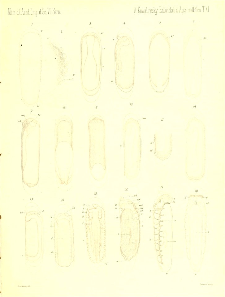 n772_w1150