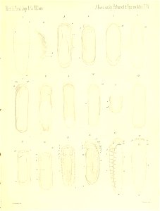 n772_w1150